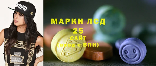 стаф Алексин