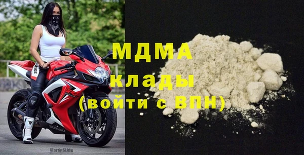 стаф Алексин