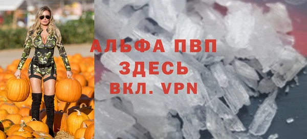 стаф Алексин