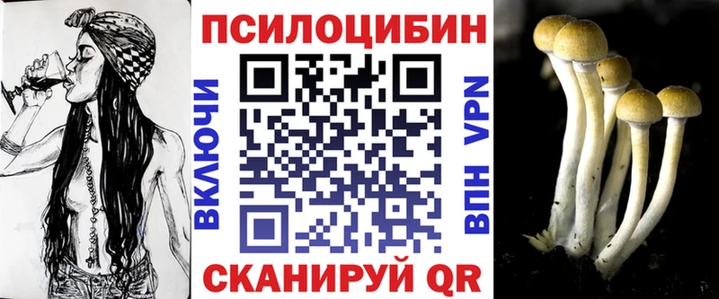 Псилоцибиновые грибы GOLDEN TEACHER  закладка  Данков 